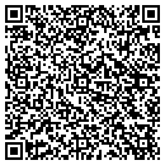 QR-код с контактной информацией организации А-1 ООО