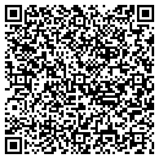 QR-код с контактной информацией организации Детский сад №369