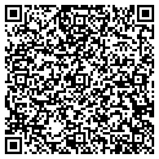 QR-код с контактной информацией организации Детский сад №272