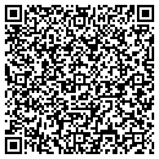QR-код с контактной информацией организации Детский сад №347