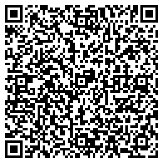 QR-код с контактной информацией организации Детский сад №317