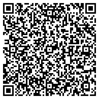 QR-код с контактной информацией организации Детский сад №291