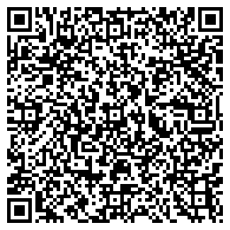 QR-код с контактной информацией организации Детский сад №221