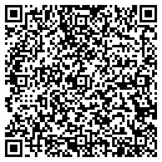 QR-код с контактной информацией организации Детский сад №295