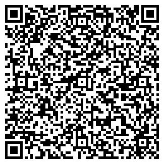 QR-код с контактной информацией организации Детский сад №424