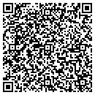 QR-код с контактной информацией организации Детский сад №195