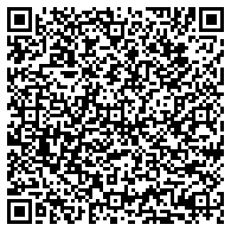 QR-код с контактной информацией организации ИП Володина Н.М.