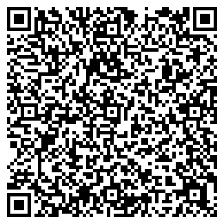 QR-код с контактной информацией организации Детский сад №13