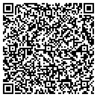 QR-код с контактной информацией организации Детский сад №247