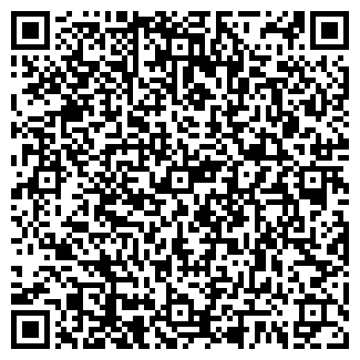 QR-код с контактной информацией организации Детский сад №96