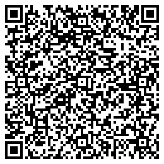 QR-код с контактной информацией организации Детский сад №378