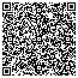 QR-код с контактной информацией организации Детский сад №87