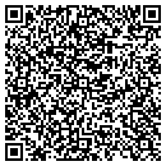 QR-код с контактной информацией организации Сумка Шик