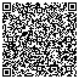 QR-код с контактной информацией организации Детский сад №103