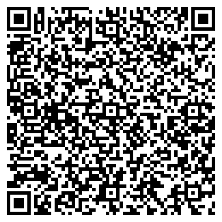 QR-код с контактной информацией организации Детский сад №17