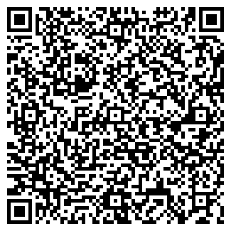 QR-код с контактной информацией организации Детский сад №168