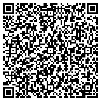 QR-код с контактной информацией организации Лицей №4