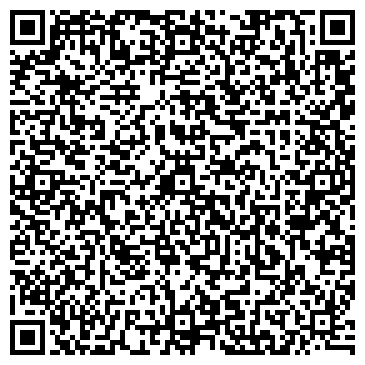 QR-код с контактной информацией организации Детская школа искусств г. Краснокамска