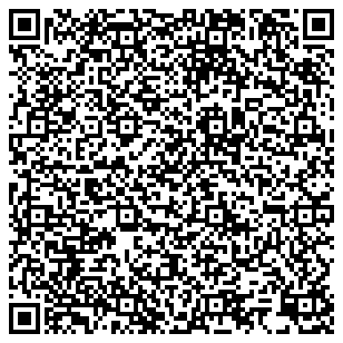 QR-код с контактной информацией организации ИП Борисова Н.Г.