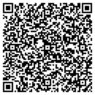 QR-код с контактной информацией организации Шаурма мастер, магазин