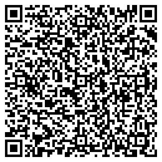 QR-код с контактной информацией организации ИП Стародумов Д.Ю.