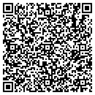 QR-код с контактной информацией организации Силуэт