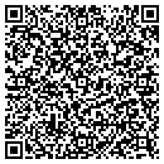 QR-код с контактной информацией организации ИП Лисицина В.Ю.