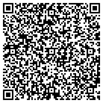 QR-код с контактной информацией организации Алиса