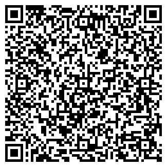 QR-код с контактной информацией организации ИП Ларыкина Л.Г.