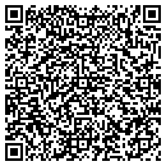 QR-код с контактной информацией организации ЗВЕЗДА