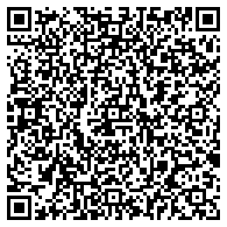 QR-код с контактной информацией организации Степашка