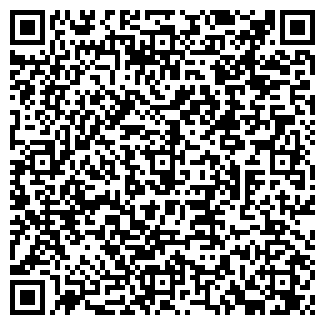 QR-код с контактной информацией организации ШИШОВ Н.Г., ИП