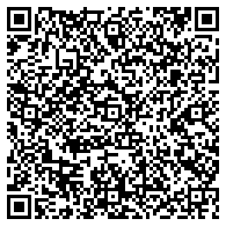 QR-код с контактной информацией организации Наил, продуктовый магазин