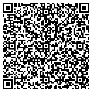 QR-код с контактной информацией организации ИП Гундырева И.Н.