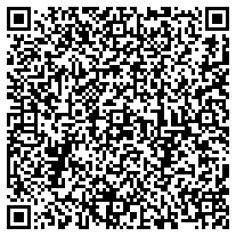 QR-код с контактной информацией организации Dream Тинейджер