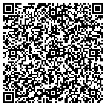 QR-код с контактной информацией организации Silver Star