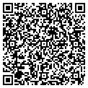 QR-код с контактной информацией организации Willi
