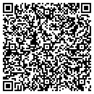 QR-код с контактной информацией организации СДМ, ООО