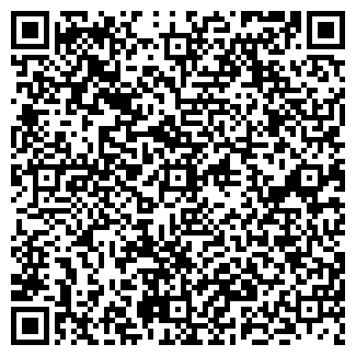 QR-код с контактной информацией организации Новый Тольятти