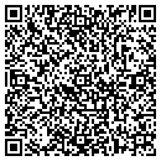 QR-код с контактной информацией организации ИП Гордеева Е.А.