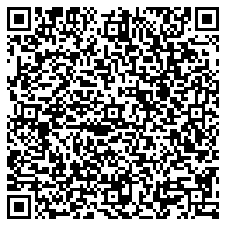 QR-код с контактной информацией организации ИП Сангинов С.С.