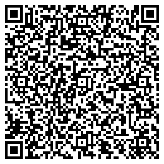QR-код с контактной информацией организации Детский сад №293