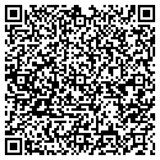 QR-код с контактной информацией организации Детский сад №317