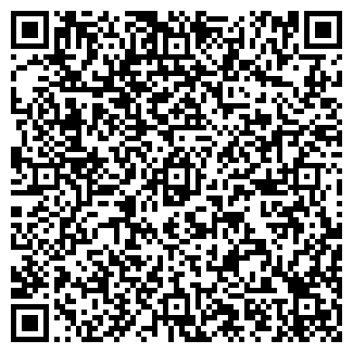 QR-код с контактной информацией организации Детский сад №138