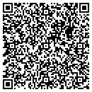 QR-код с контактной информацией организации Детский сад №236