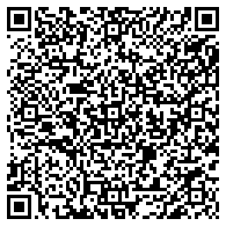 QR-код с контактной информацией организации Детский сад №169