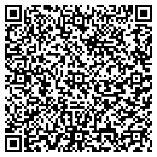 QR-код с контактной информацией организации Детский сад №313