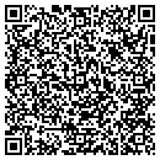 QR-код с контактной информацией организации Детский сад №198