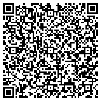 QR-код с контактной информацией организации Детский сад №337