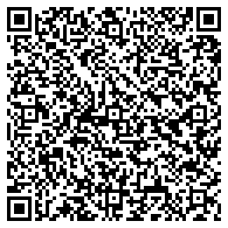 QR-код с контактной информацией организации Детский сад №138